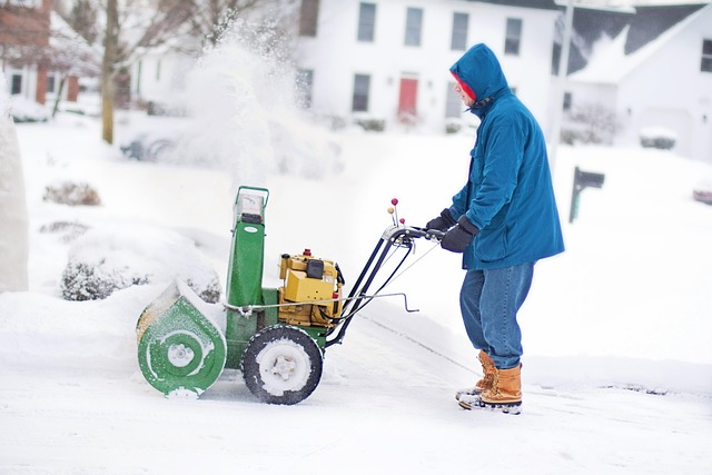 snow blower, man, work, winter, snow, nature, cold